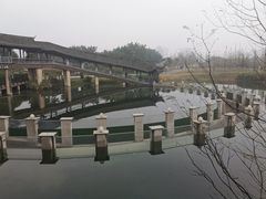 -眉山湿地公园(东坡区)