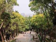 -富乐山
