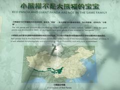 -都江堰中华大熊猫苑