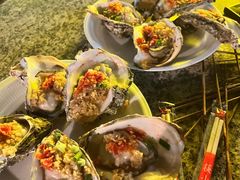 -八一湛江生蚝(文明东路总店)