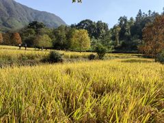 -塔川景区