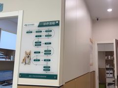 -瑞派康怡24h宠物医院·犬猫医疗中心·微创绝育(瑞景分院)