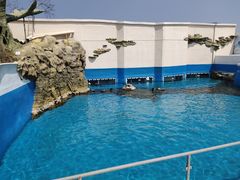 -秦皇岛乐岛海洋王国