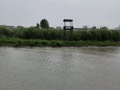 -洪湖生态旅游区