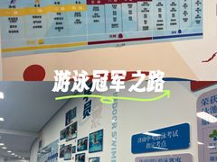 -奥体中心游泳馆