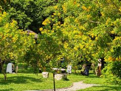 -深圳国际园林花卉博览园