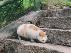 -崂山九水游览区