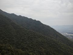 -广州市流溪河国家森林公园