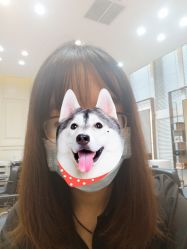 -崇尚GAVIN STYLE