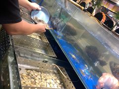 -喜庭海鲜自助(佛山王府井店)
