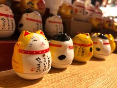 -猫咪博物馆(顶澳仔猫街店)