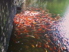 2609_389773289_IMG_2271-美景家宴