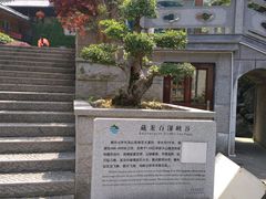 -藏龙百瀑风景区