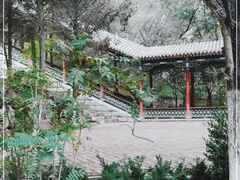 -五泉山公园