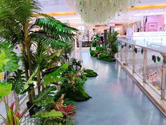 -巴黎春天(浦建店)