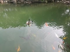 -白马涧龙池景区