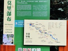 -莫里热带雨林景区