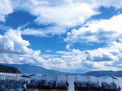 -阳光海岸