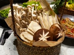 -烹然四季椰子鸡火锅(团结湖总店)