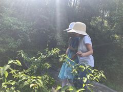 -天下银坑