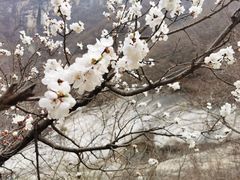 -黑龙潭风景区