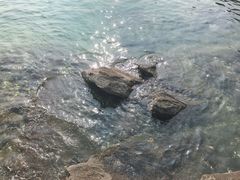 -烟台山景区
