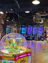 -卡通尼·Safari非洲探索乐园·生日会(金桥国际商业广场店)