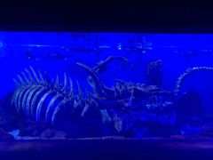 -波塞冬旅游度假区