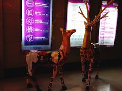 -音乐虫量贩式KTV(大悦城店)