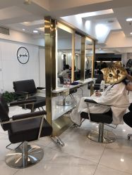 -雅仕 HAIR SALON 美发沙龙