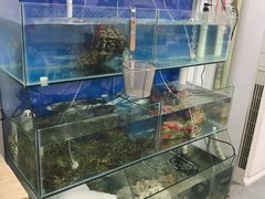 水产区-老闽味姜母鸭·煎蟹闽菜餐厅(曾厝垵地标店)