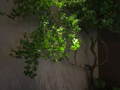 -唐宫足道·SPA·住宿24H会所(木渎店)