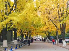 -四川大学(华西校区)