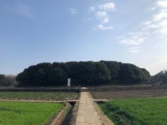 -八卦田遗址公园