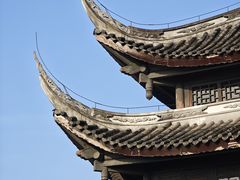 -南山植物园