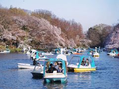 -井之头恩赐公园