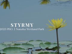 -大湾区中央湿地公园