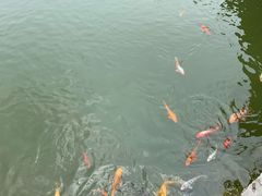 -召稼楼古镇