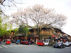 -凤栖山