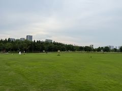 -洋湖国家湿地公园