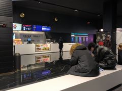 -奥斯卡升龙国际影城(RealD Cinema)