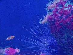 -成都浩海立方海洋公园