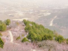 -北京西山国家森林公园