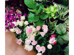 -西关84·History·Art·Cafe