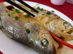 清蒸黄花鱼-蛇口康乐快餐鱼仔档(翠苑小区店)