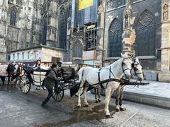 -斯蒂芬主教座堂(Stephansdom)