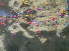 -苏州海洋馆