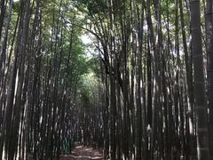 -宝岩生态观光园