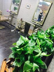 点击看大图 -HD HAIR STYLE