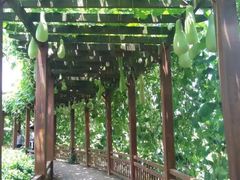 -贵阳蓬莱仙界